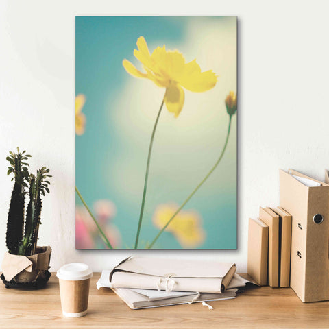 Image of 'Summer Breeze' by Kim Fearheiley, Giclee Canvas Wall Art,18x26