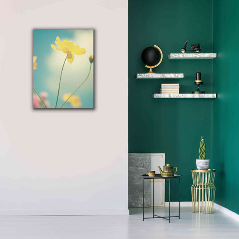 Image of 'Summer Breeze' by Kim Fearheiley, Giclee Canvas Wall Art,26x34