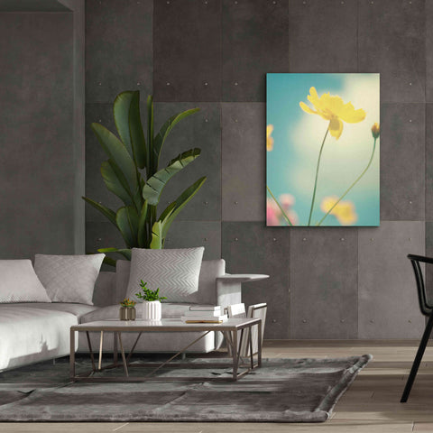 Image of 'Summer Breeze' by Kim Fearheiley, Giclee Canvas Wall Art,40x54