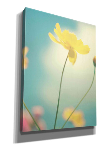 Image of 'Summer Breeze' by Kim Fearheiley, Giclee Canvas Wall Art