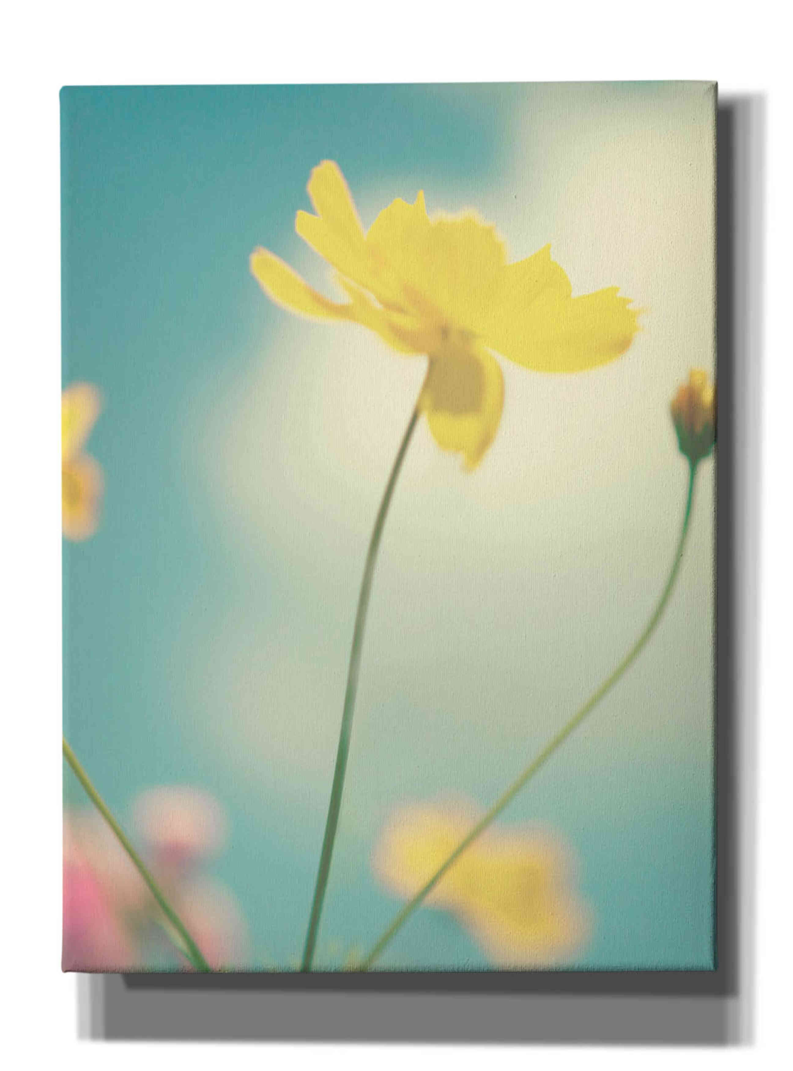 'Summer Breeze' by Kim Fearheiley, Giclee Canvas Wall Art