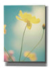 'Summer Breeze' by Kim Fearheiley, Giclee Canvas Wall Art