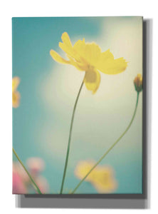 'Summer Breeze' by Kim Fearheiley, Giclee Canvas Wall Art