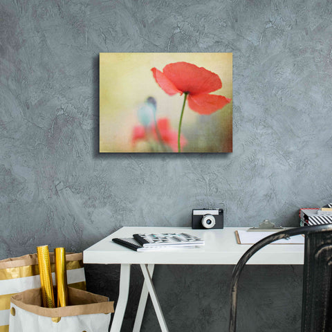 Image of 'Poppy' by Kim Fearheiley, Giclee Canvas Wall Art,16x12