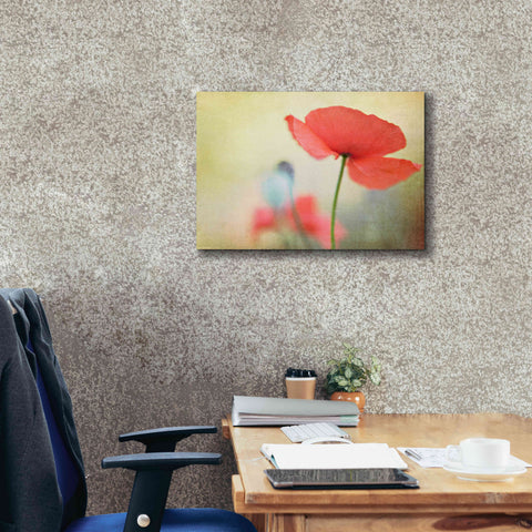 Image of 'Poppy' by Kim Fearheiley, Giclee Canvas Wall Art,26x18