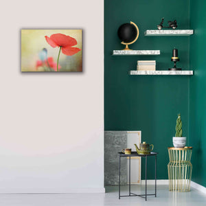 'Poppy' by Kim Fearheiley, Giclee Canvas Wall Art,26x18