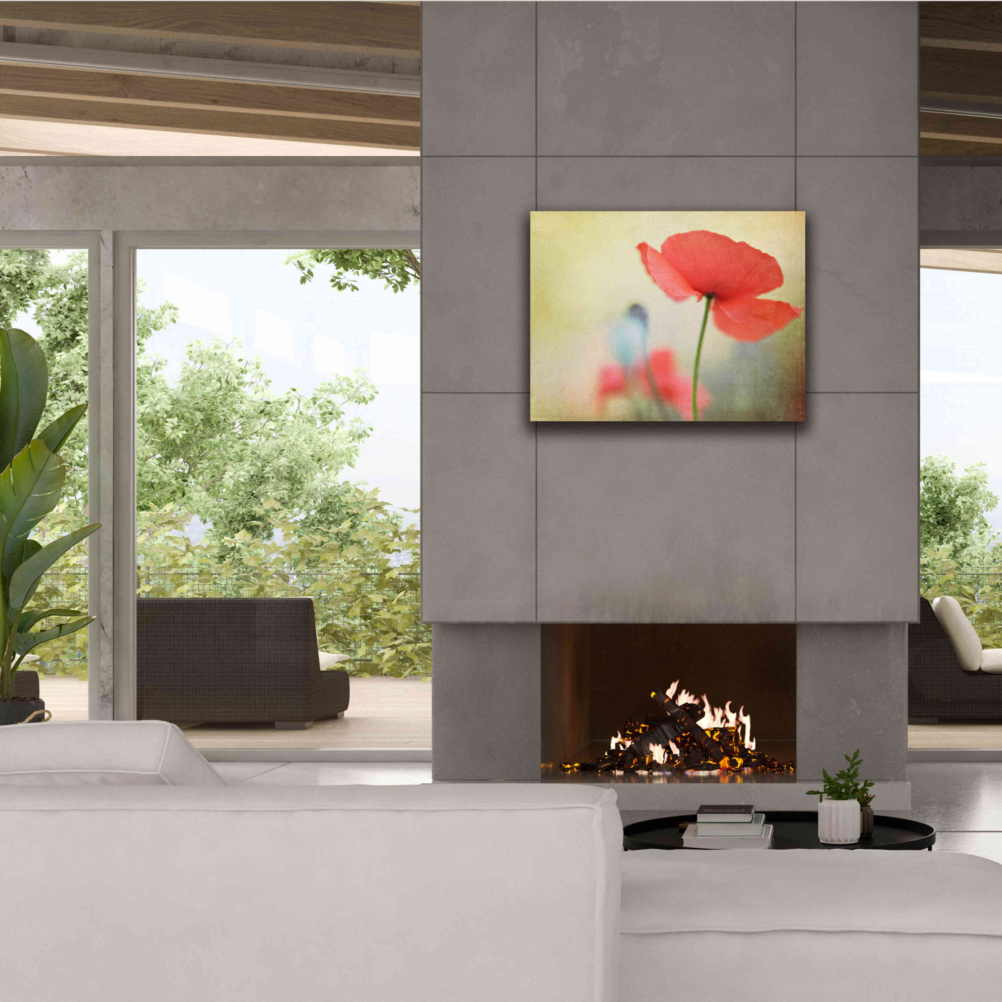 'Poppy' by Kim Fearheiley, Giclee Canvas Wall Art,34x26