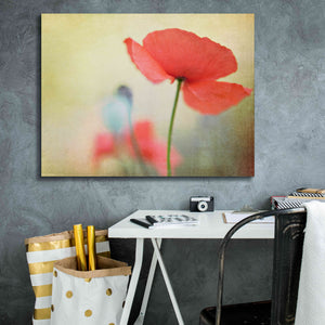 'Poppy' by Kim Fearheiley, Giclee Canvas Wall Art,34x26