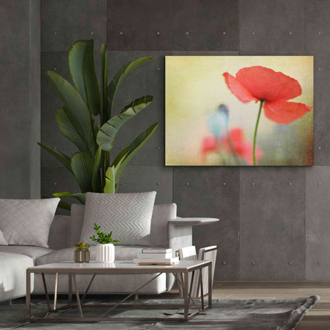 Image of 'Poppy' by Kim Fearheiley, Giclee Canvas Wall Art,54x40