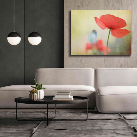 Image of 'Poppy' by Kim Fearheiley, Giclee Canvas Wall Art,54x40
