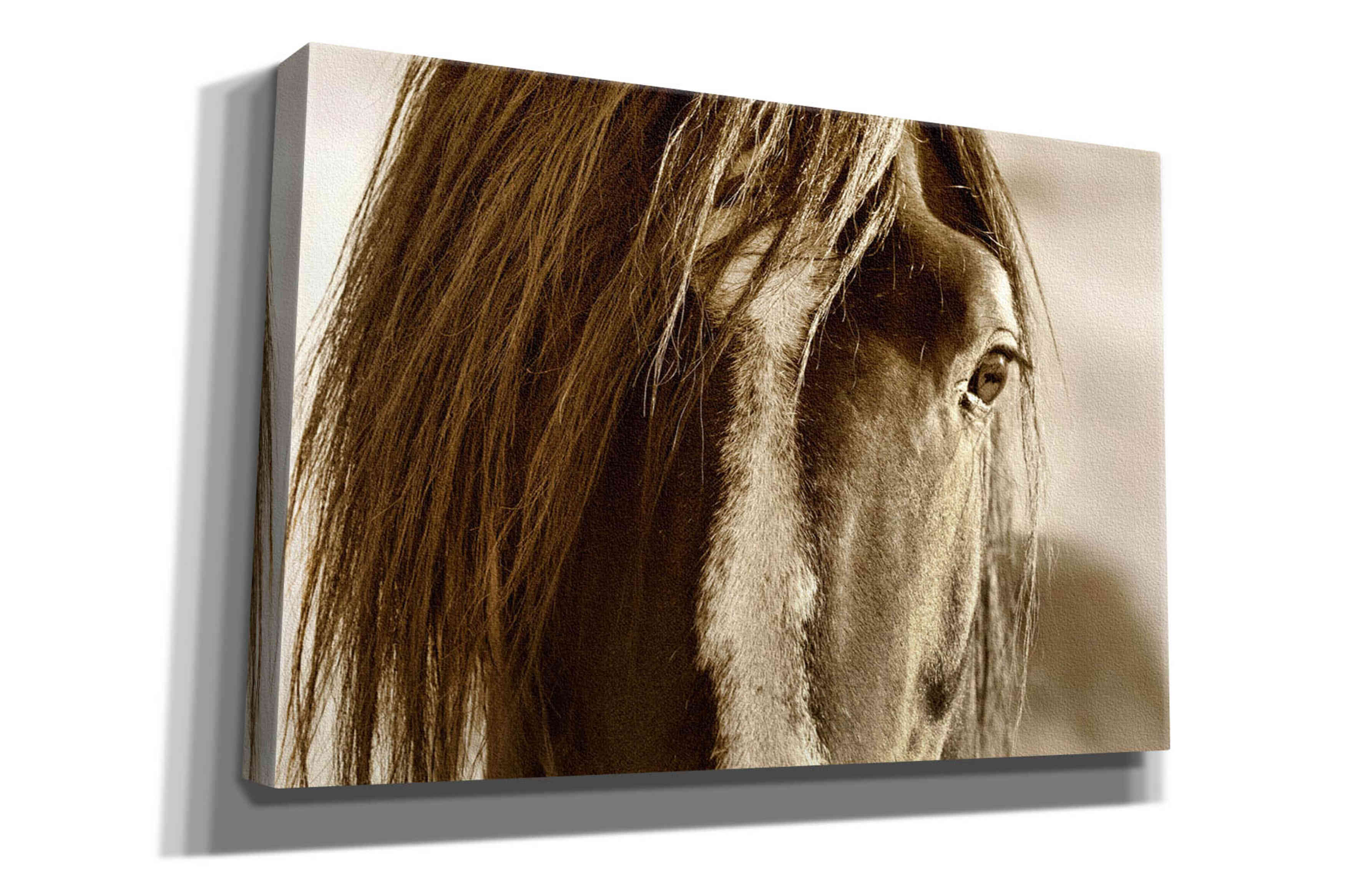 'Amante' by Lisa Dearing, Giclee Canvas Wall Art