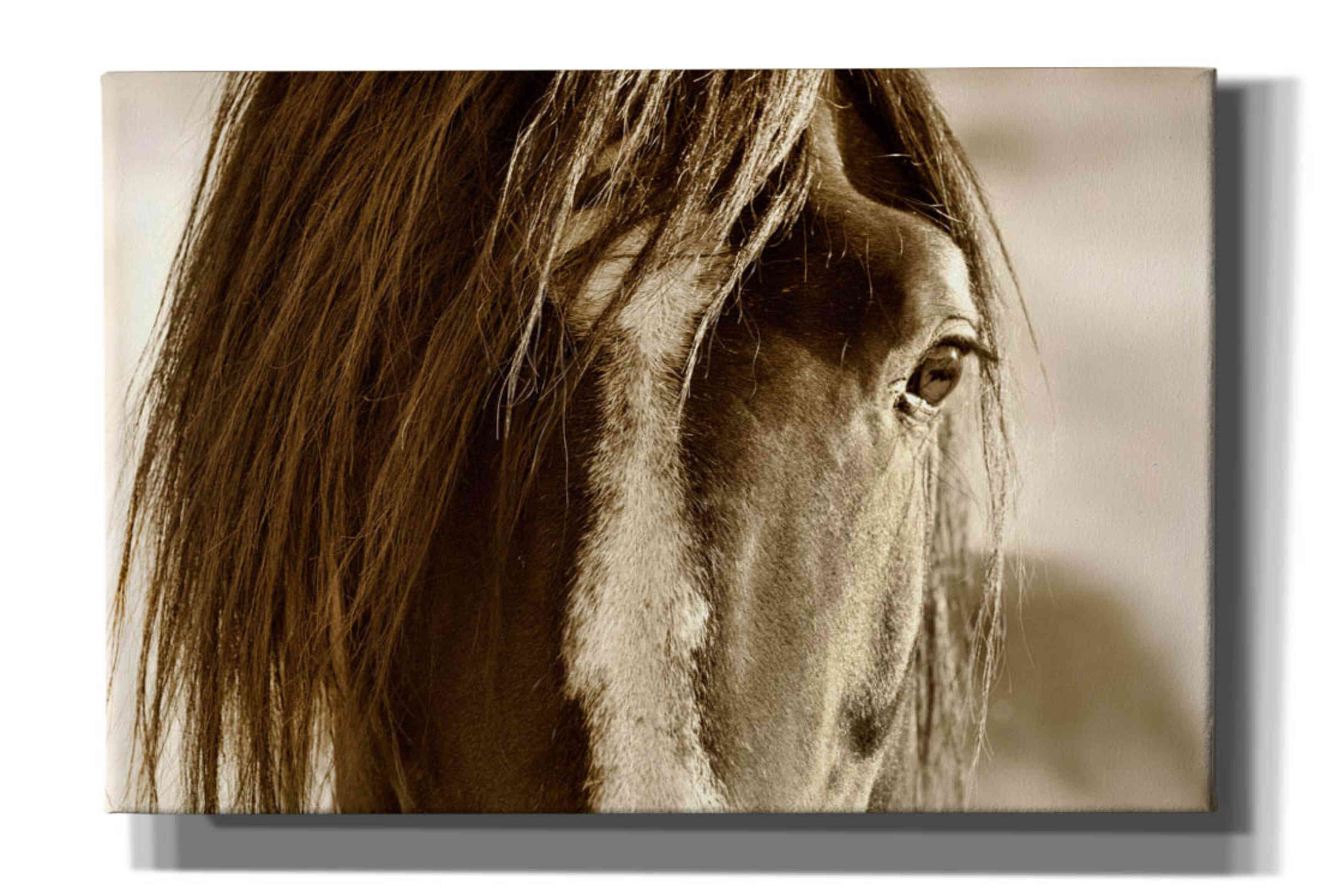 'Amante' by Lisa Dearing, Giclee Canvas Wall Art