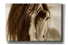 'Amante' by Lisa Dearing, Giclee Canvas Wall Art