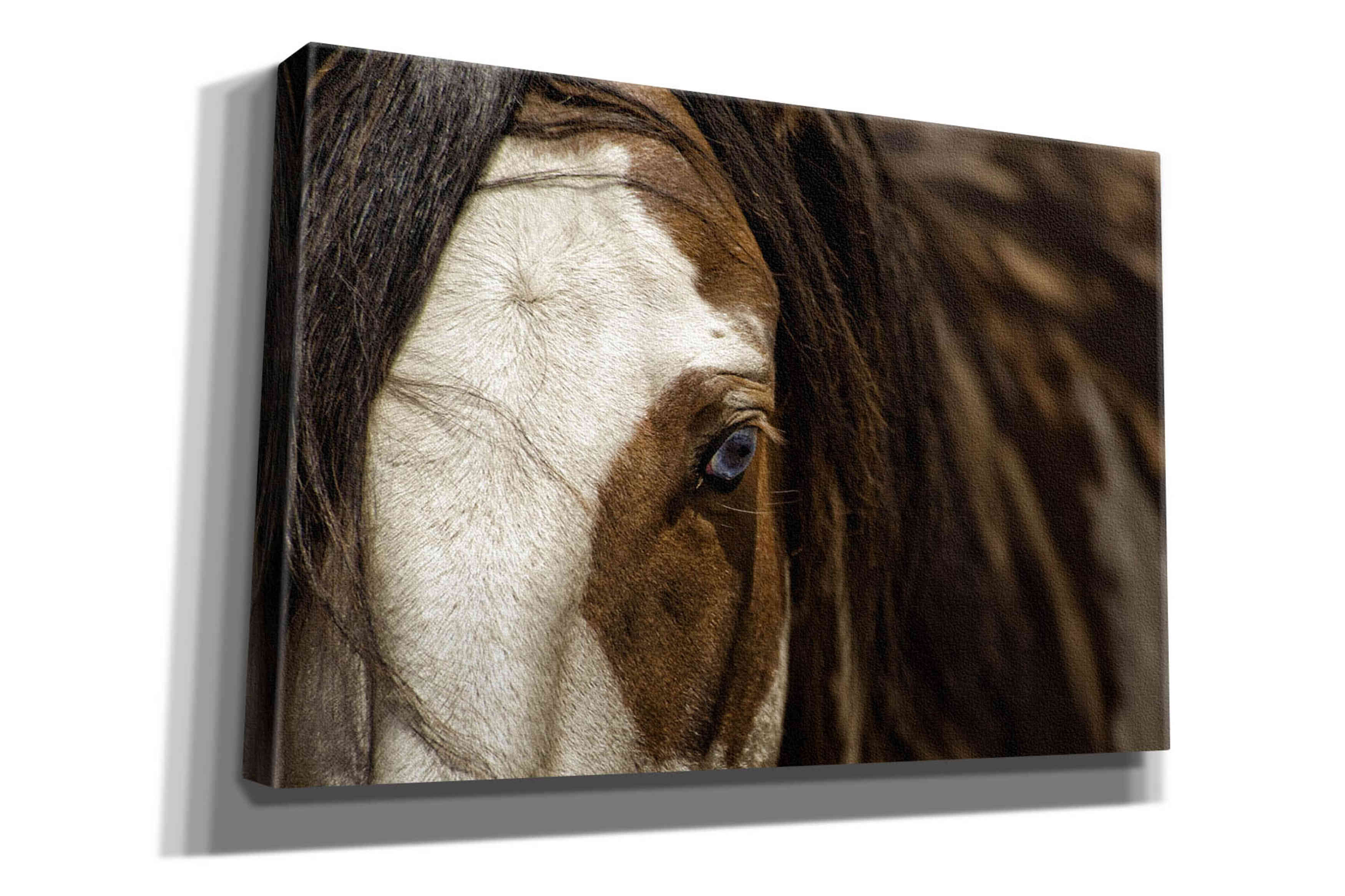 'Blue' by Lisa Dearing, Giclee Canvas Wall Art