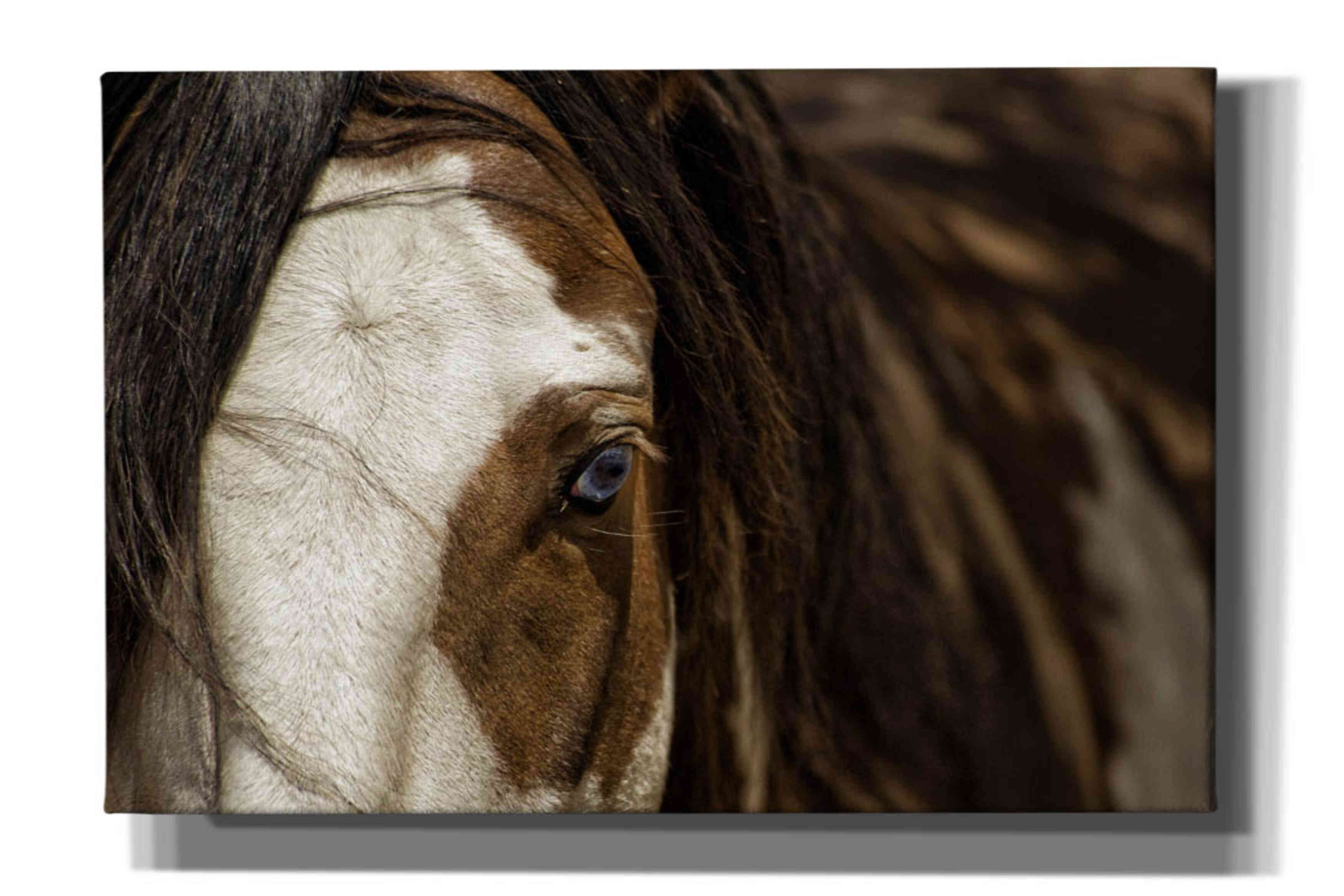 'Blue' by Lisa Dearing, Giclee Canvas Wall Art