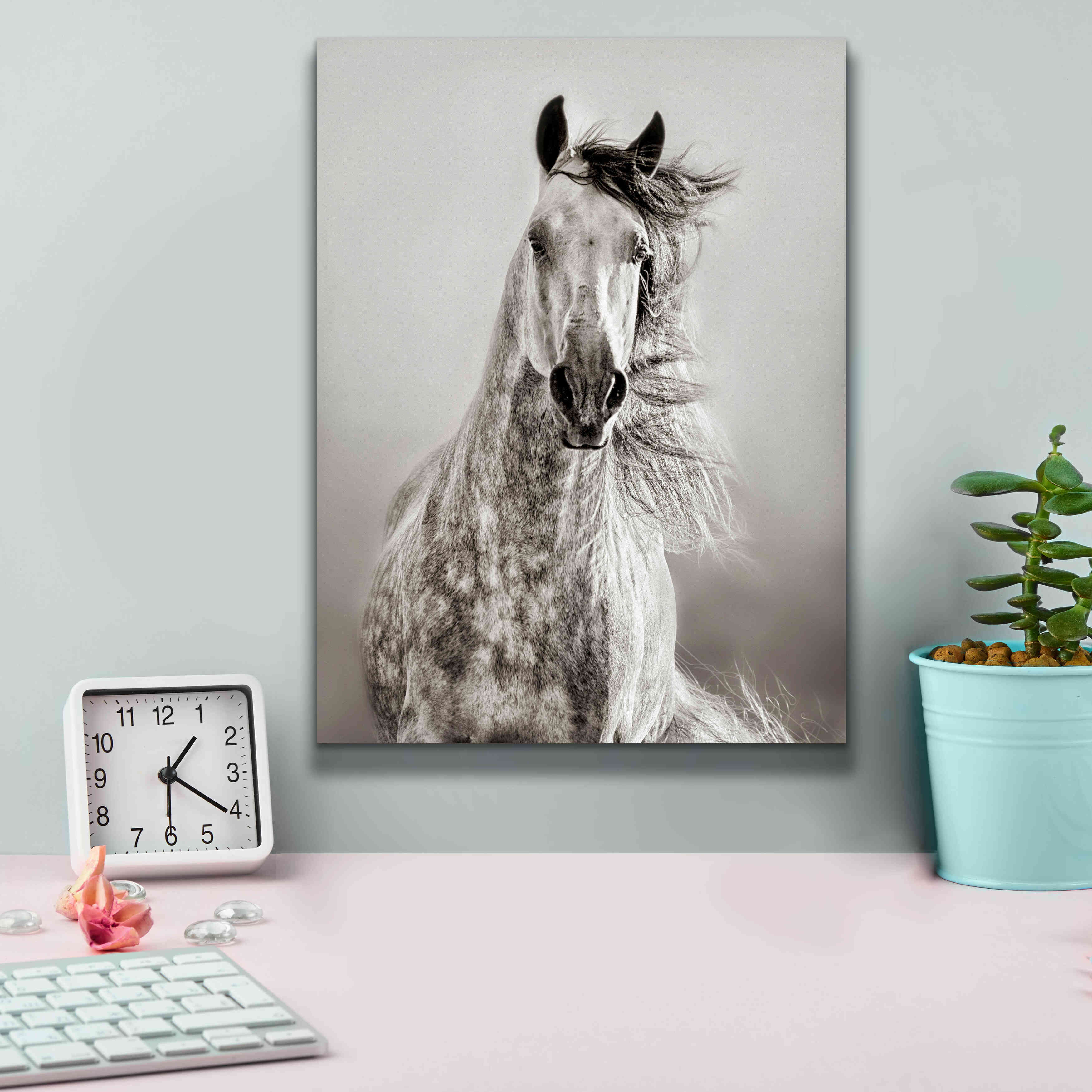 'Caballo de Andaluz' by Lisa Dearing, Giclee Canvas Wall Art,12x16