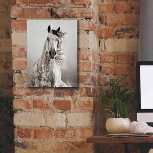 'Caballo de Andaluz' by Lisa Dearing, Giclee Canvas Wall Art,12x16