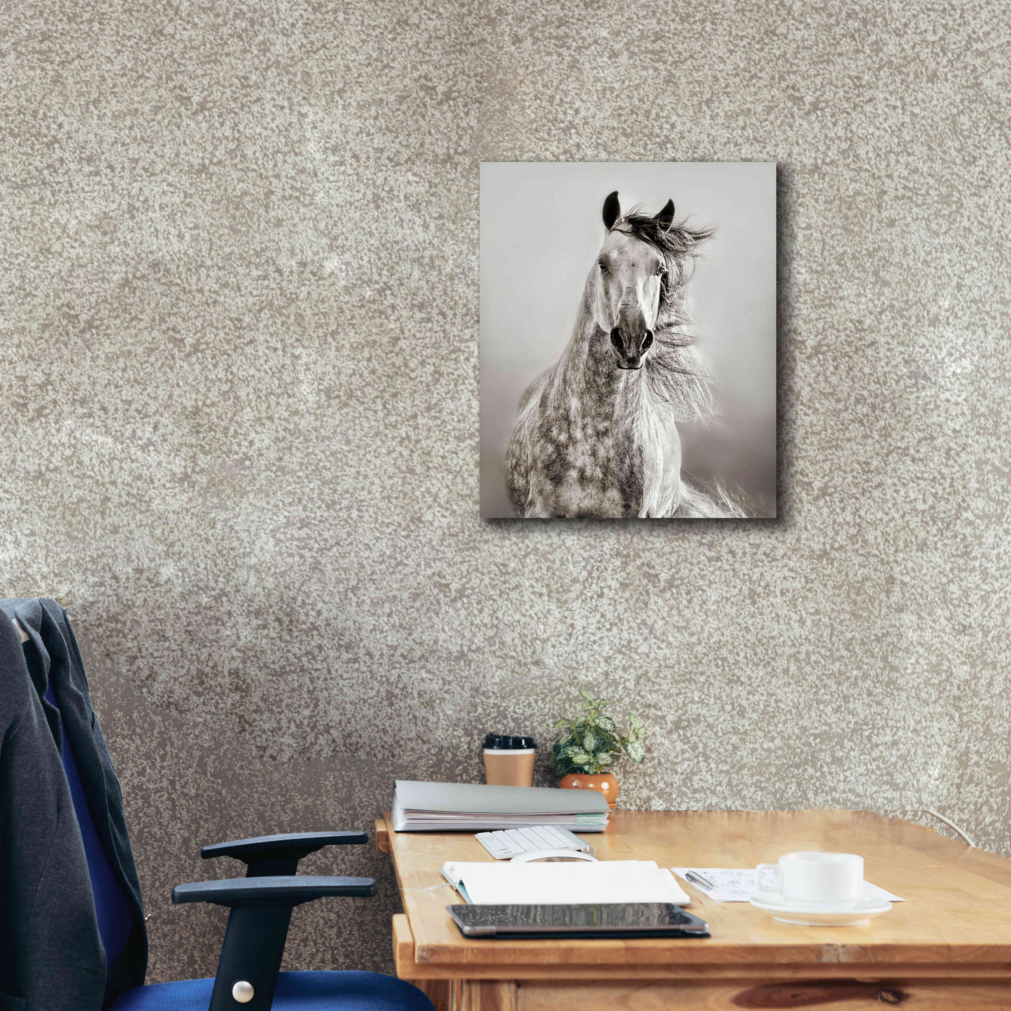 'Caballo de Andaluz' by Lisa Dearing, Giclee Canvas Wall Art,20x24