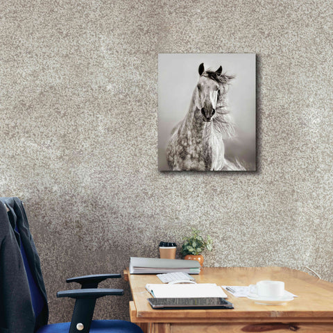 Image of 'Caballo de Andaluz' by Lisa Dearing, Giclee Canvas Wall Art,20x24