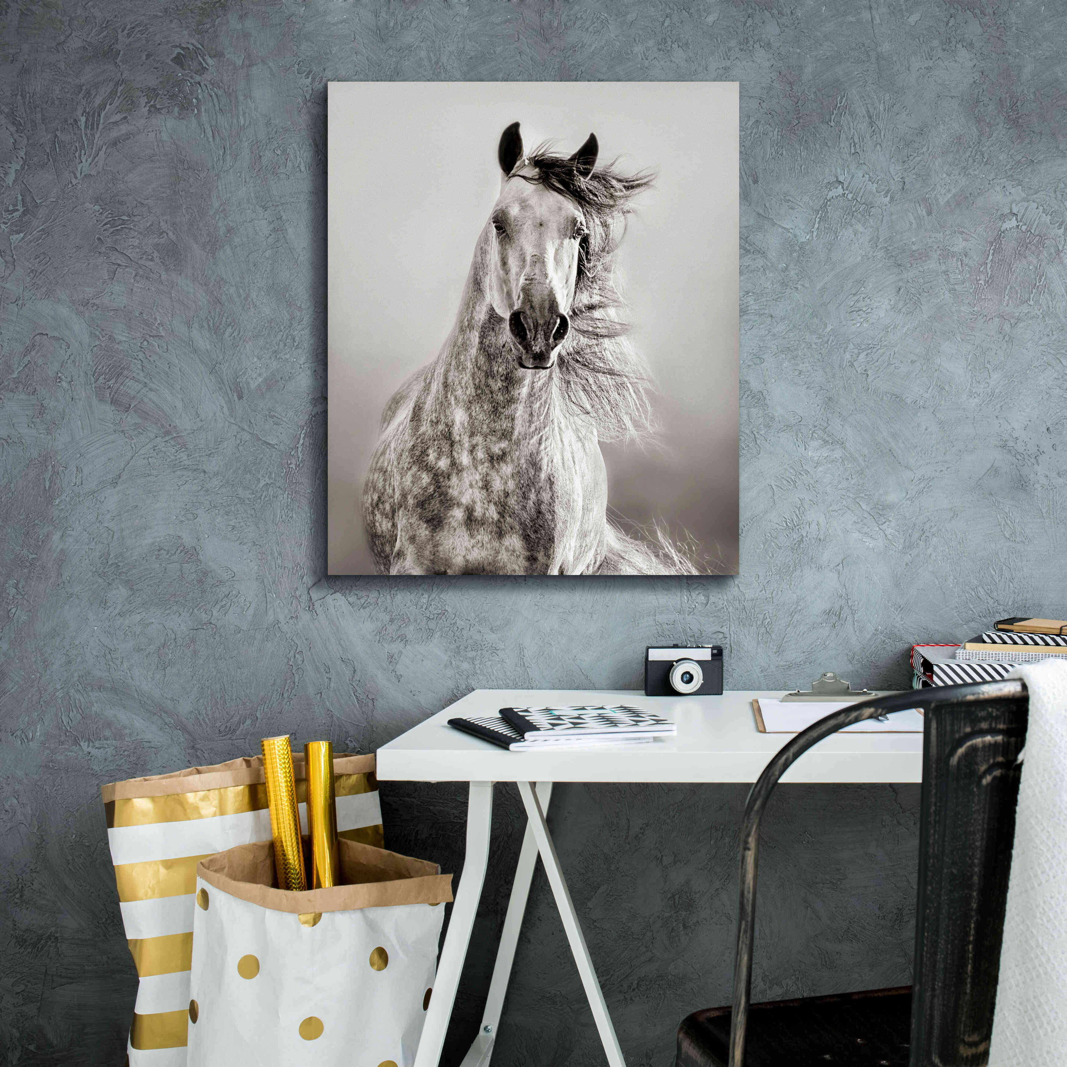 'Caballo de Andaluz' by Lisa Dearing, Giclee Canvas Wall Art,20x24