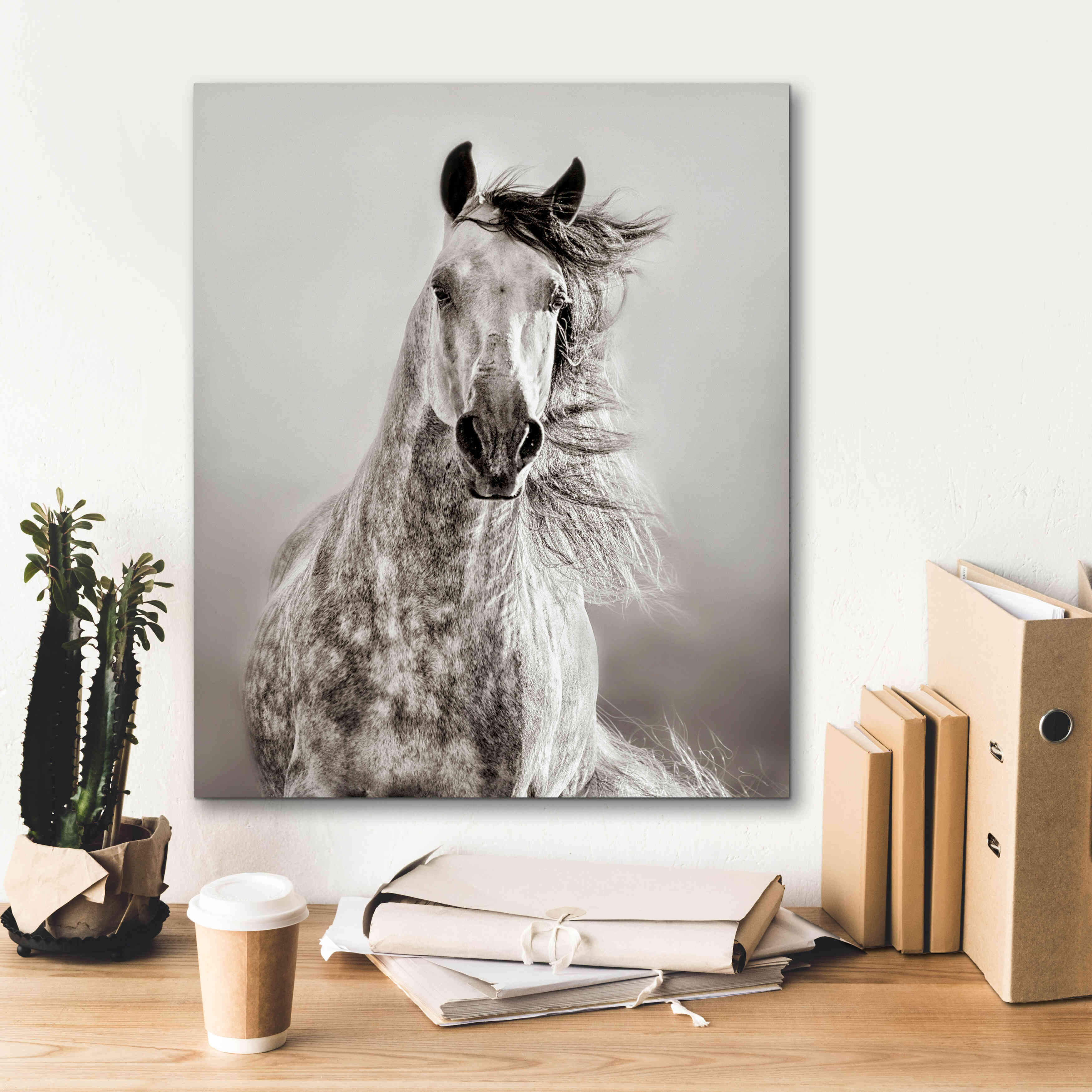 'Caballo de Andaluz' by Lisa Dearing, Giclee Canvas Wall Art,20x24