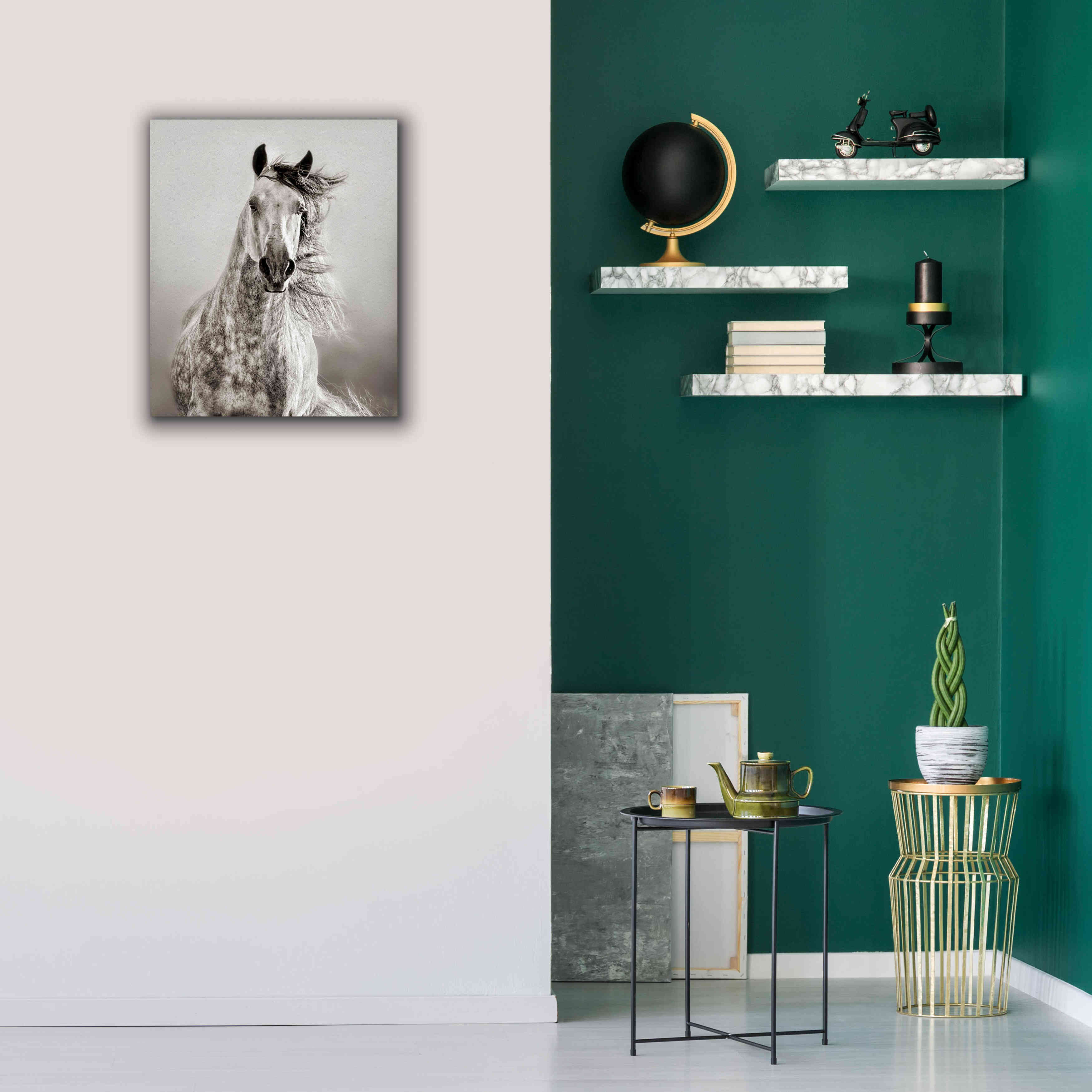 'Caballo de Andaluz' by Lisa Dearing, Giclee Canvas Wall Art,20x24