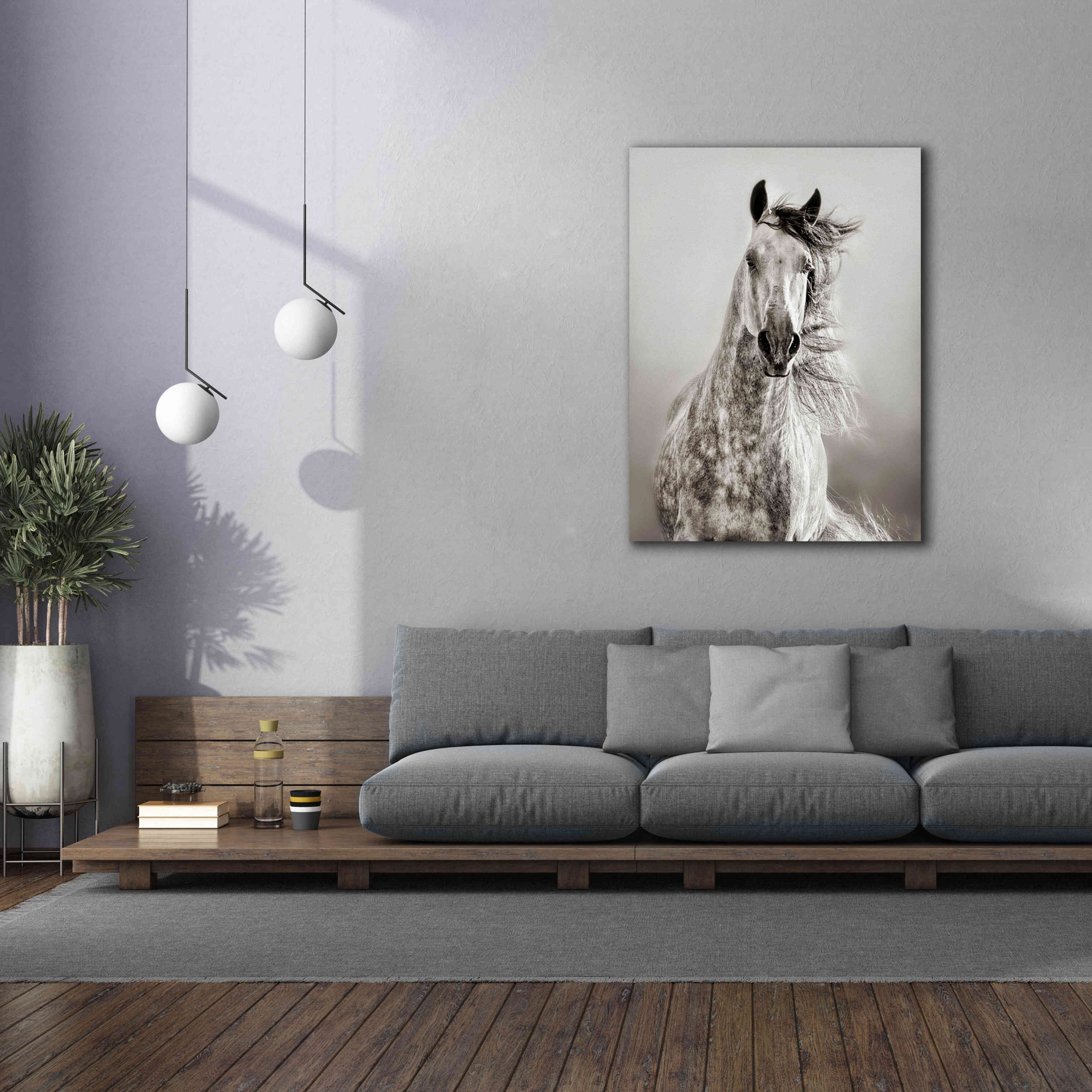 'Caballo de Andaluz' by Lisa Dearing, Giclee Canvas Wall Art,40x54