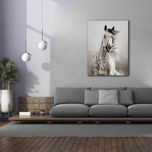 'Caballo de Andaluz' by Lisa Dearing, Giclee Canvas Wall Art,40x54