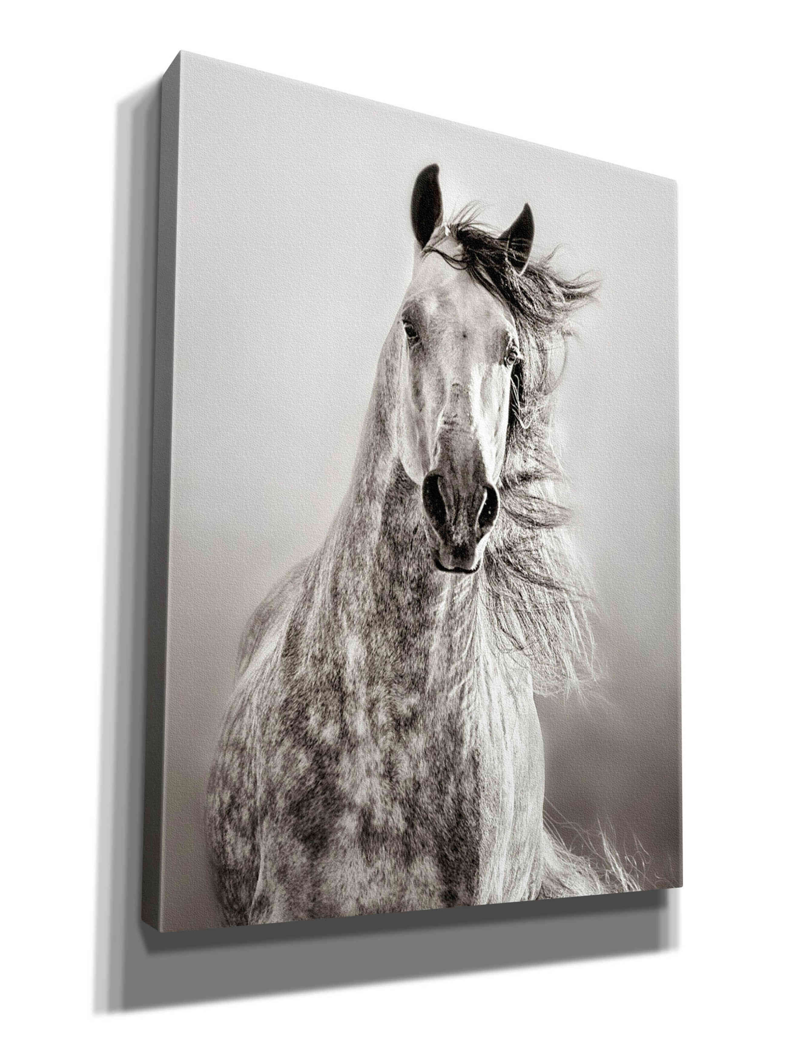 'Caballo de Andaluz' by Lisa Dearing, Giclee Canvas Wall Art