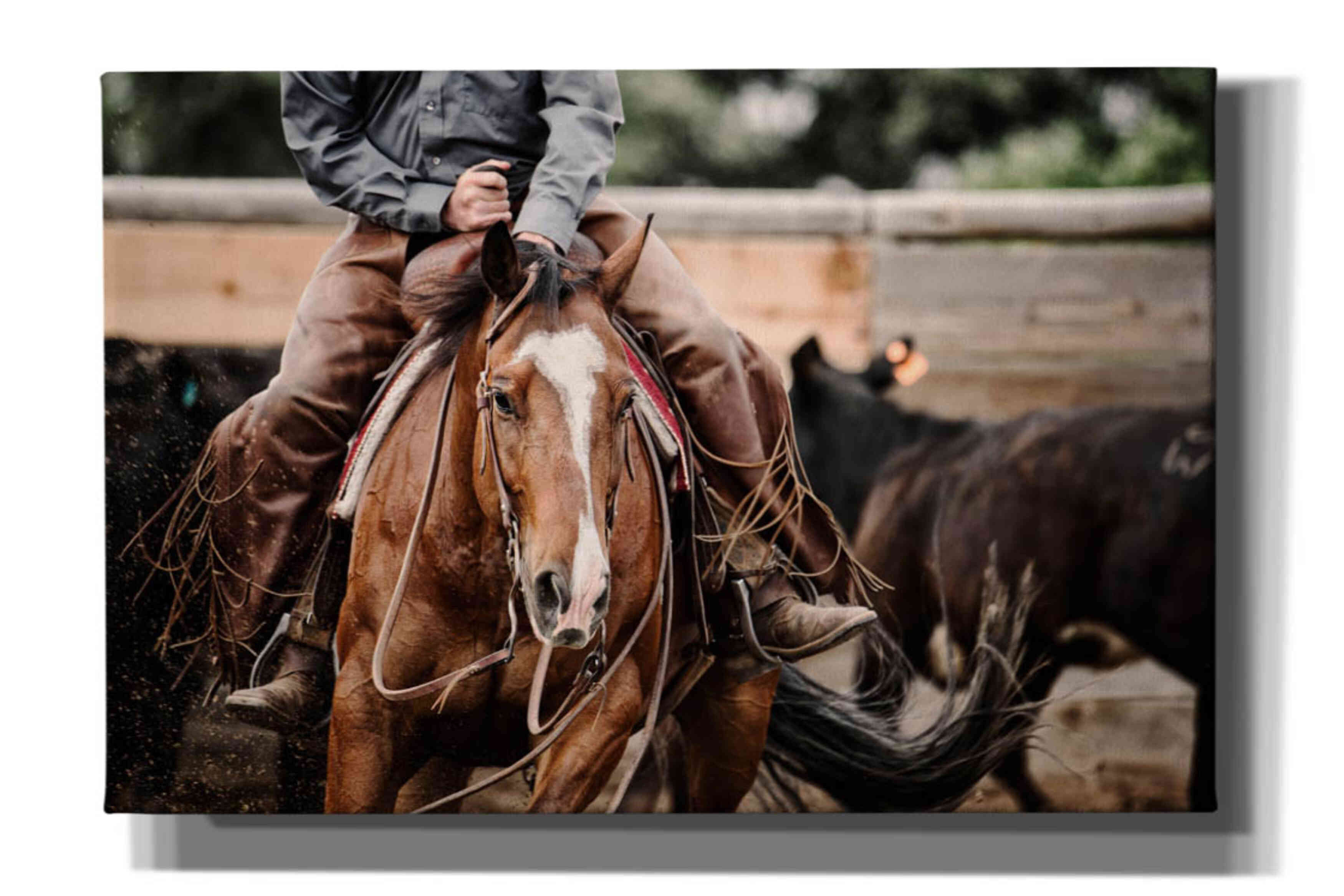 'Cutting Horse' by Lisa Dearing, Giclee Canvas Wall Art