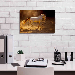 'Dancing In The Light' by Lisa Dearing, Giclee Canvas Wall Art,18x12