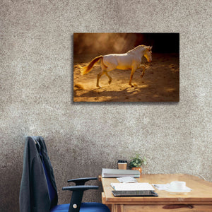 'Dancing In The Light' by Lisa Dearing, Giclee Canvas Wall Art,40x26