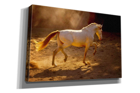 'Dancing In The Light' by Lisa Dearing, Giclee Canvas Wall Art