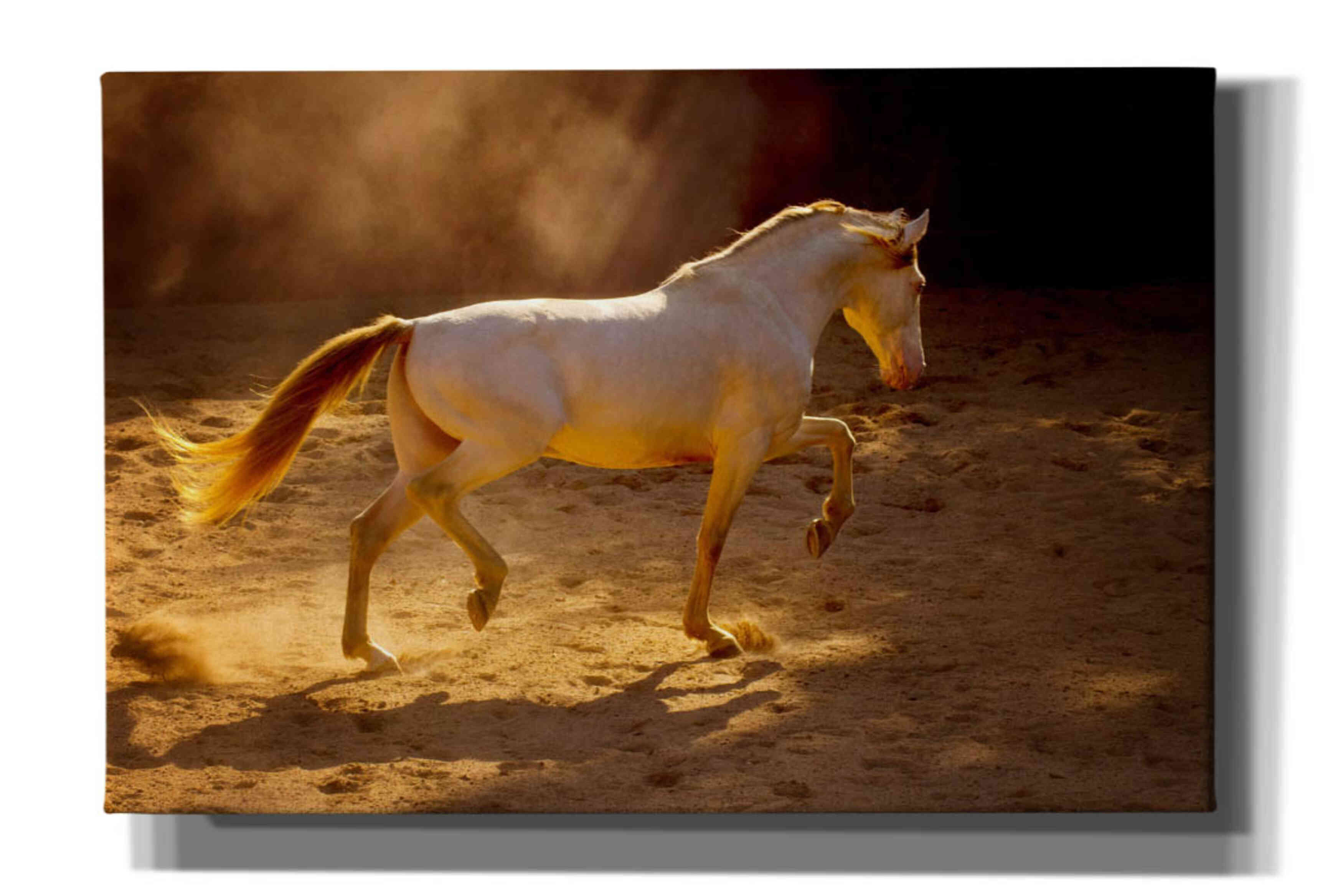 'Dancing In The Light' by Lisa Dearing, Giclee Canvas Wall Art