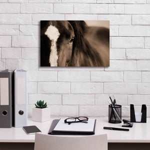 'Dark Eyes' by Lisa Dearing, Giclee Canvas Wall Art,18x12