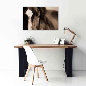 'Dark Eyes' by Lisa Dearing, Giclee Canvas Wall Art,40x26