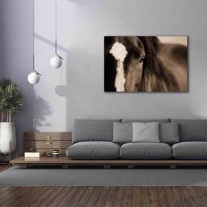 'Dark Eyes' by Lisa Dearing, Giclee Canvas Wall Art,60x40