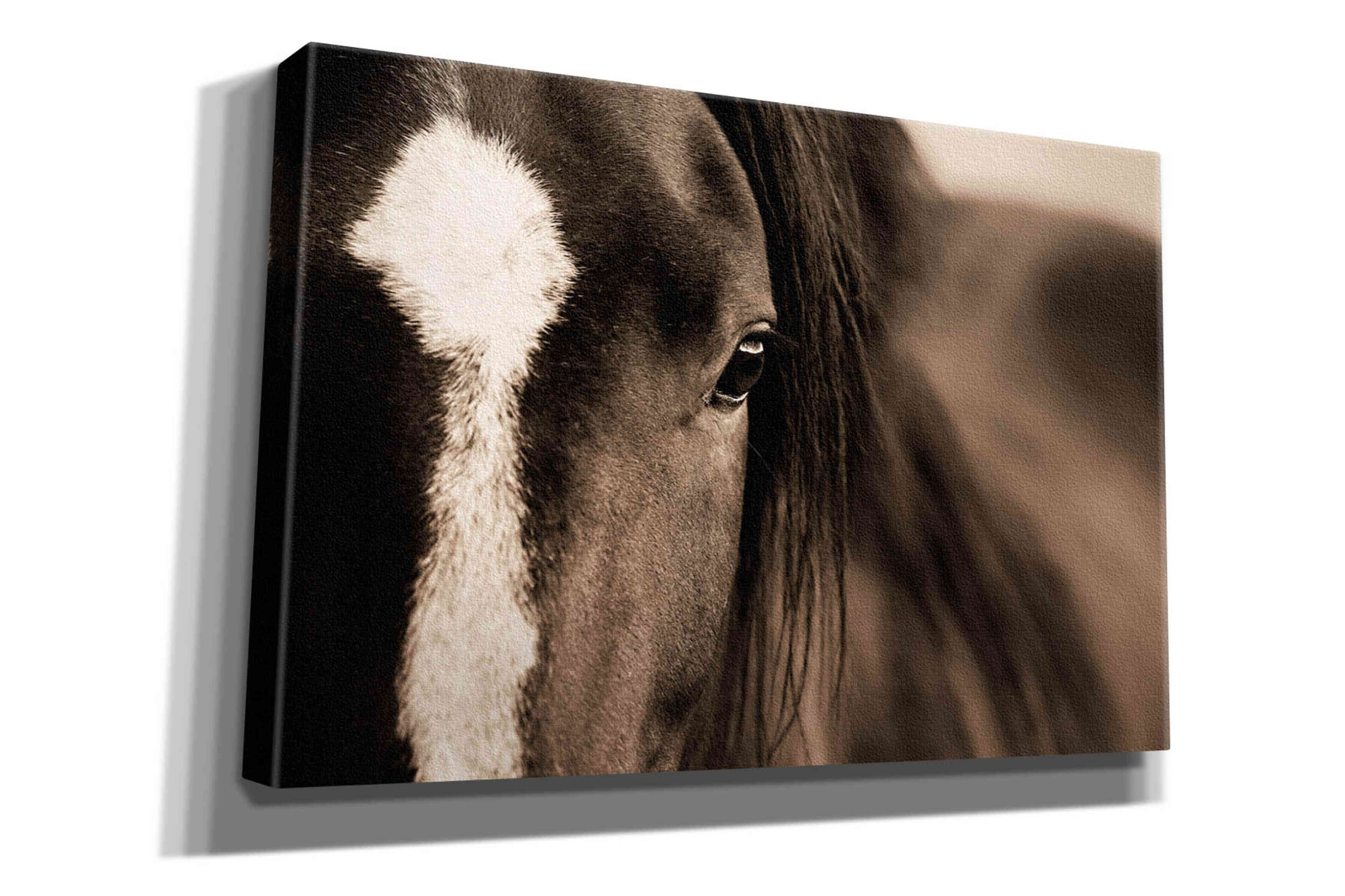 'Dark Eyes' by Lisa Dearing, Giclee Canvas Wall Art