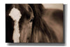 'Dark Eyes' by Lisa Dearing, Giclee Canvas Wall Art