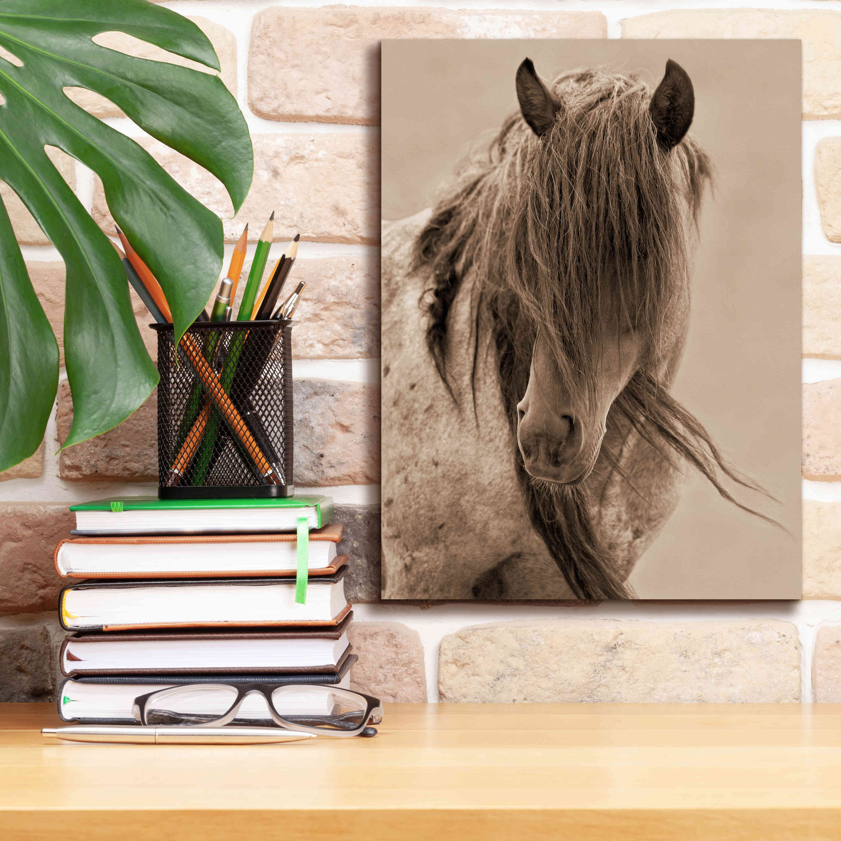 'Freedom' by Lisa Dearing, Giclee Canvas Wall Art,12x16
