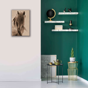 'Freedom' by Lisa Dearing, Giclee Canvas Wall Art,18x26