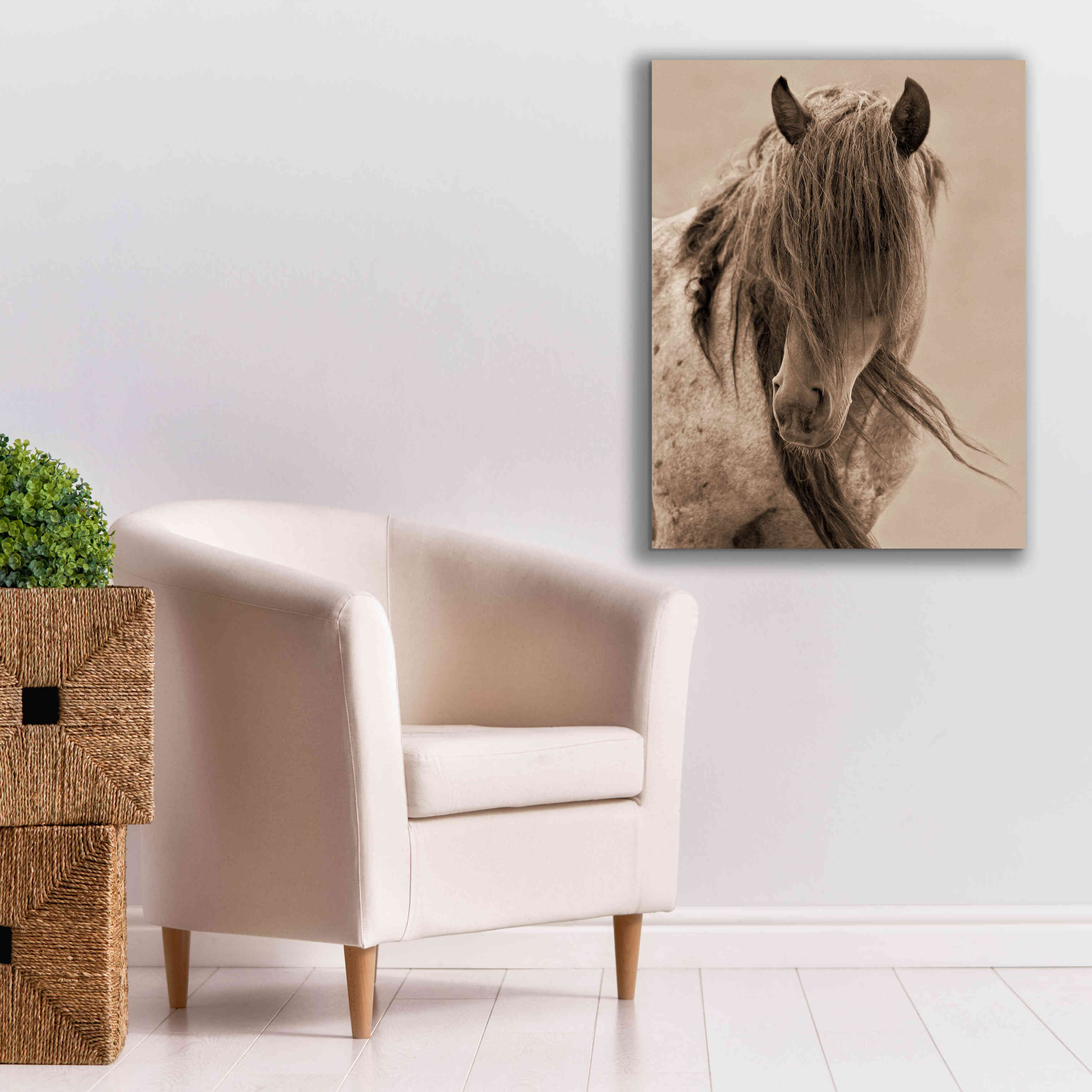 'Freedom' by Lisa Dearing, Giclee Canvas Wall Art,26x34