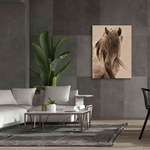 Image of 'Freedom' by Lisa Dearing, Giclee Canvas Wall Art,40x54