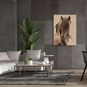 'Freedom' by Lisa Dearing, Giclee Canvas Wall Art,40x54