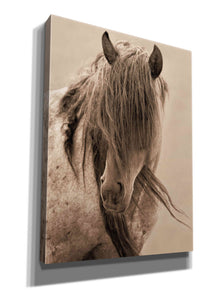 'Freedom' by Lisa Dearing, Giclee Canvas Wall Art