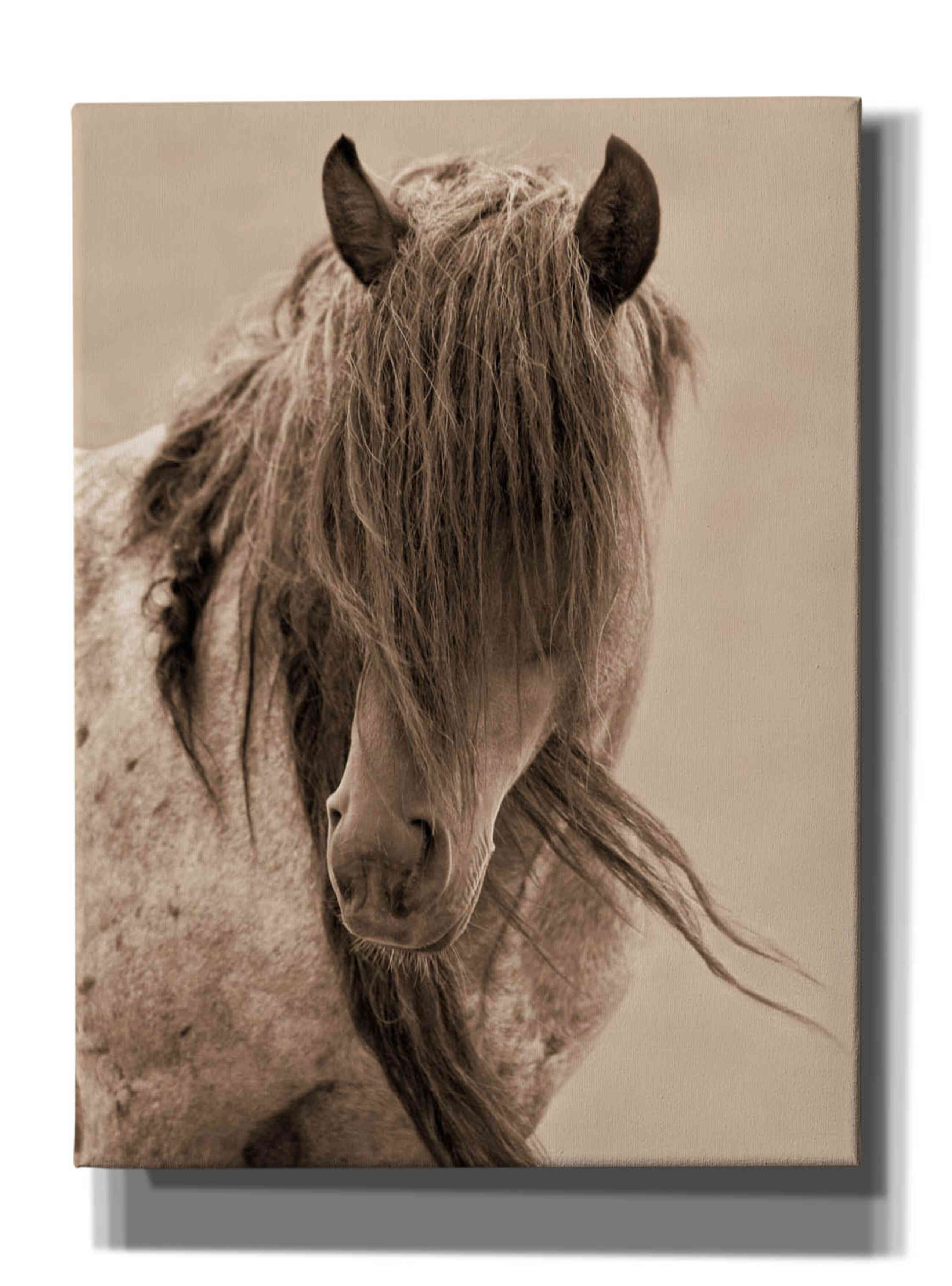 'Freedom' by Lisa Dearing, Giclee Canvas Wall Art