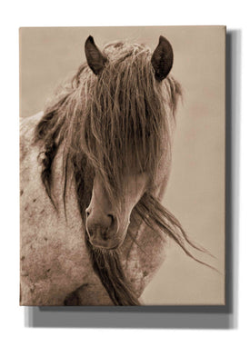 'Freedom' by Lisa Dearing, Giclee Canvas Wall Art