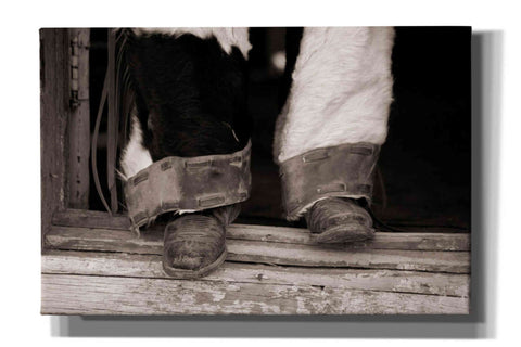 Image of 'Furry Chaps' by Lisa Dearing, Giclee Canvas Wall Art