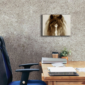 'Ghost Horse' by Lisa Dearing, Giclee Canvas Wall Art,16x12