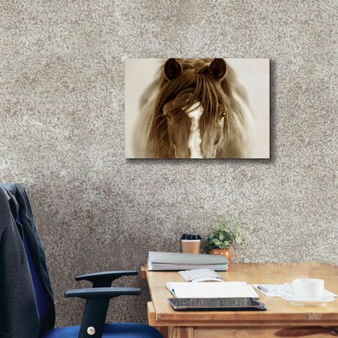 Image of 'Ghost Horse' by Lisa Dearing, Giclee Canvas Wall Art,24x20